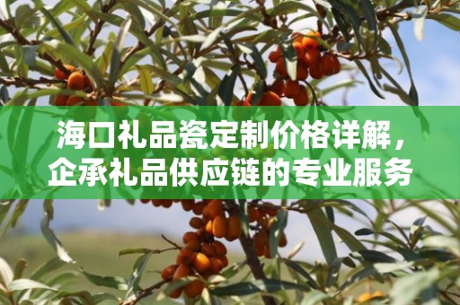 海口礼品瓷定制价格详解，企承礼品供应链的专业服务