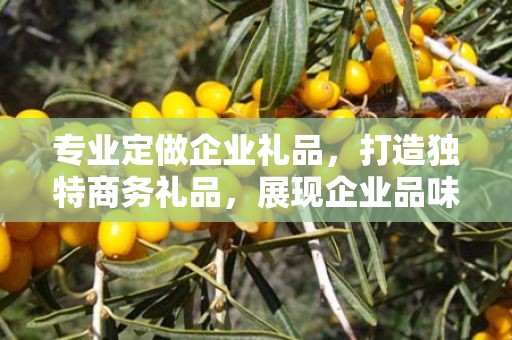 专业定做企业礼品，打造独特商务礼品，展现企业品味与文化